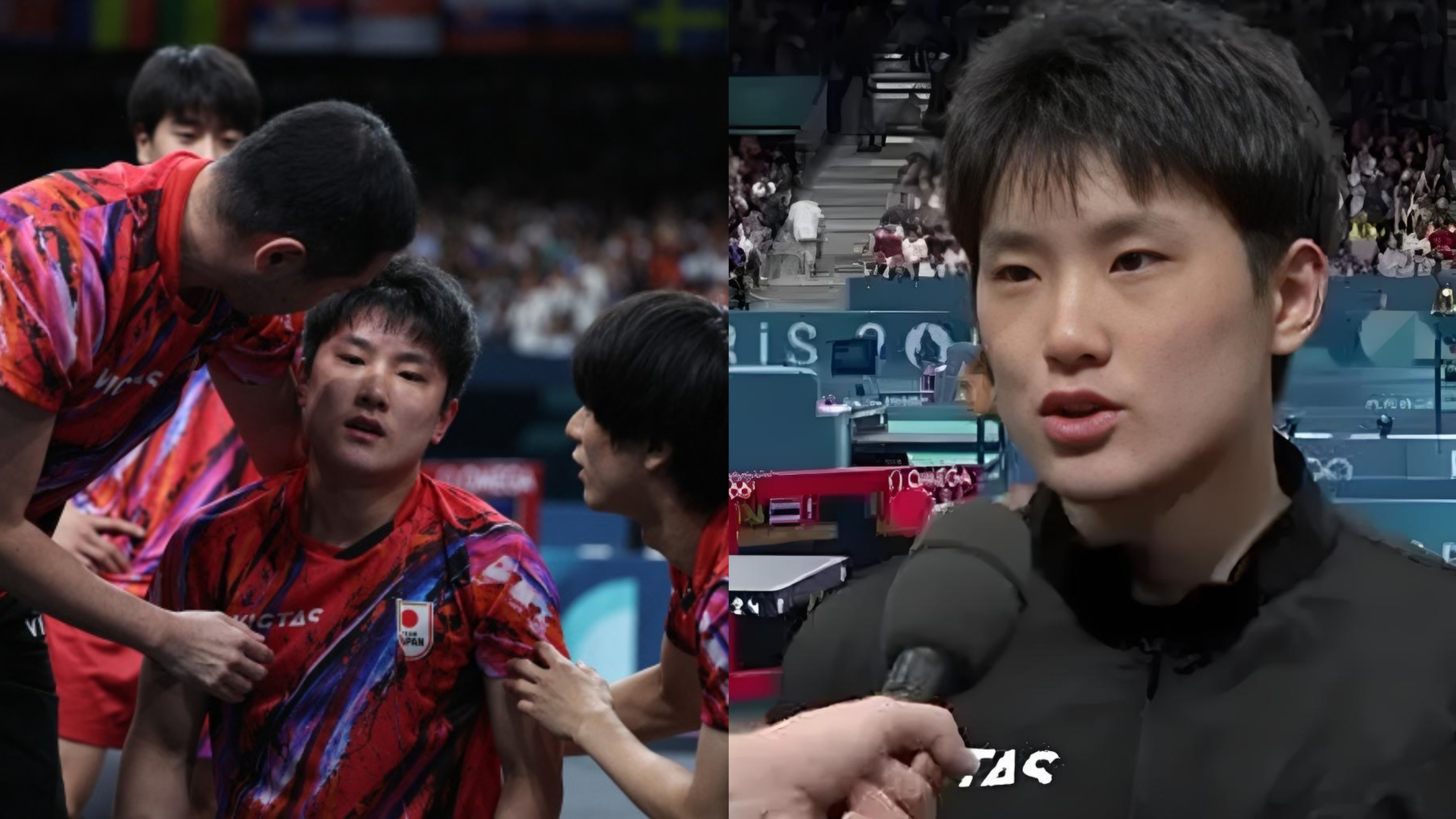 日本队横扫英格兰队，张本智和点燃赛场